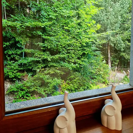 別荘 Furtka Do Lasu *