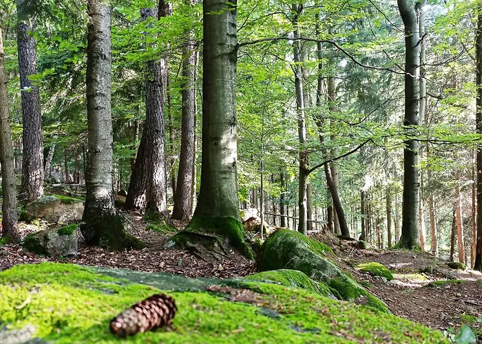 Furtka Do Lasu 度假居 *