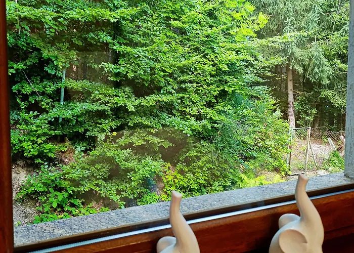 度假居 Furtka Do Lasu *